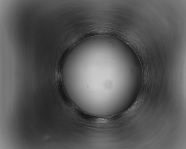X0000094420176200711081006