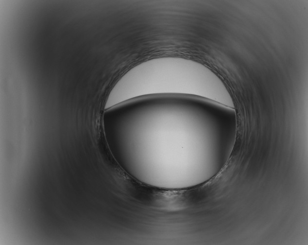 X0000094420184200711081006