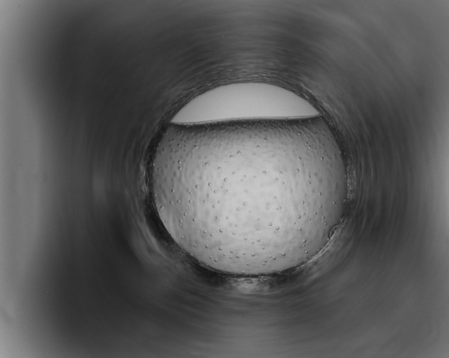 X0000094420187200711081006