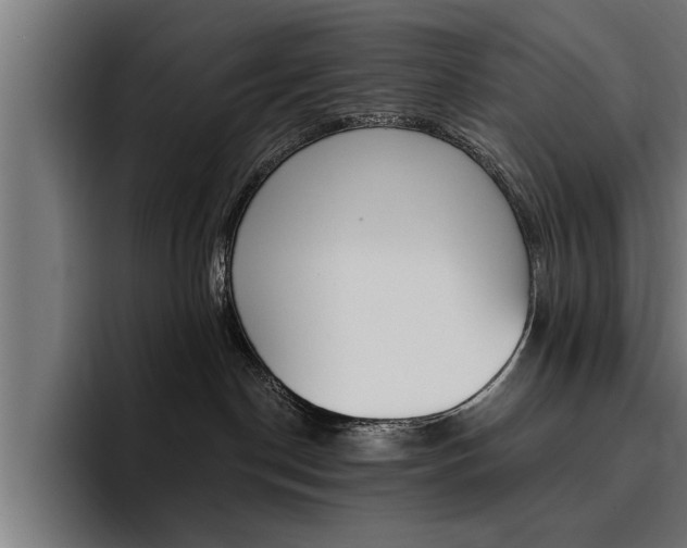 X0000094420190200711081006