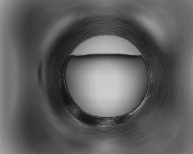 X0000094420191200711081006