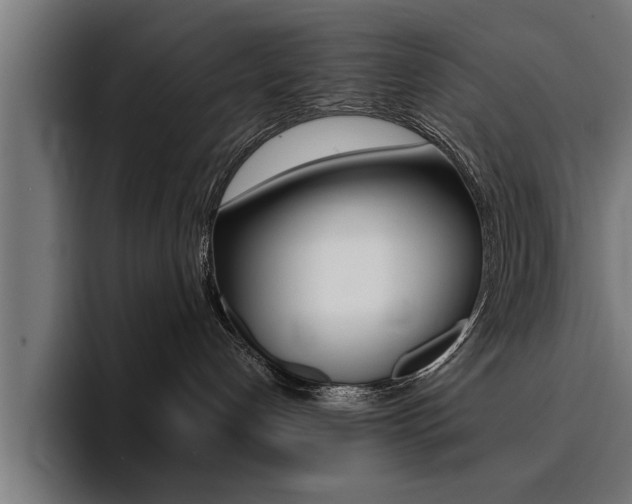 X0000094420192200711081006