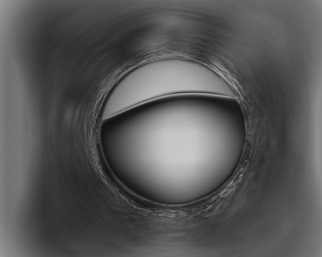X0000094420193200711081005