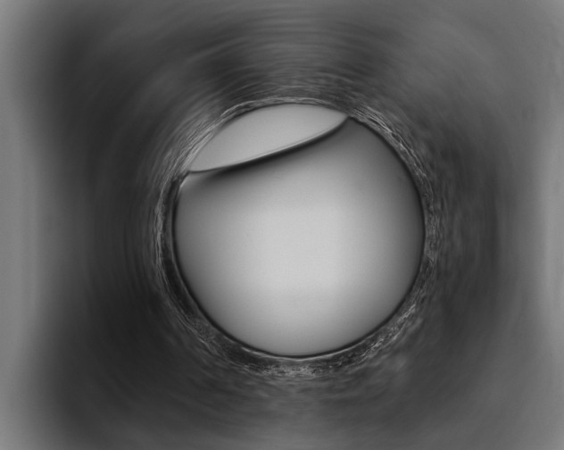 X0000094420194200711081005