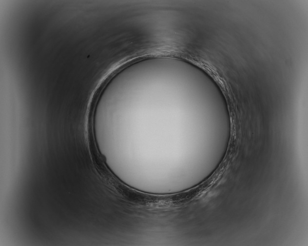 X0000094420196200711081005