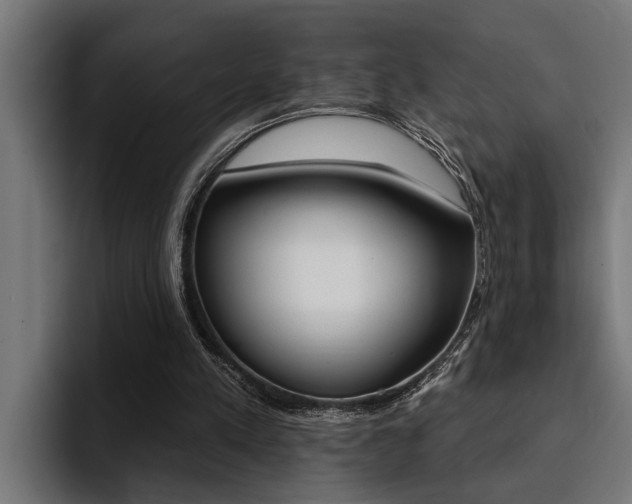 X0000094420197200711081005
