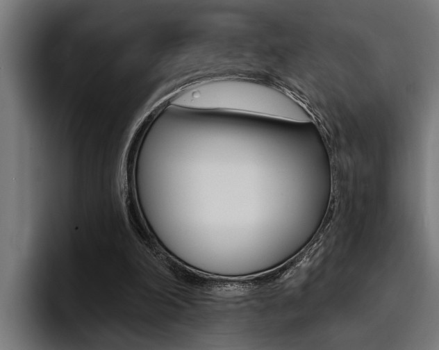 X0000094420198200711081005