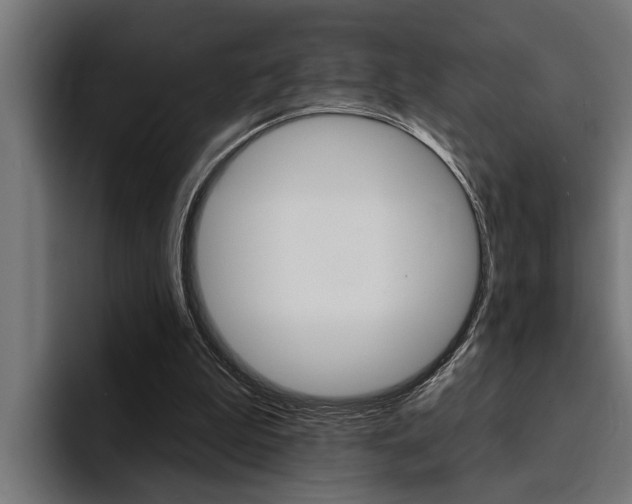 X0000094420199200711081005