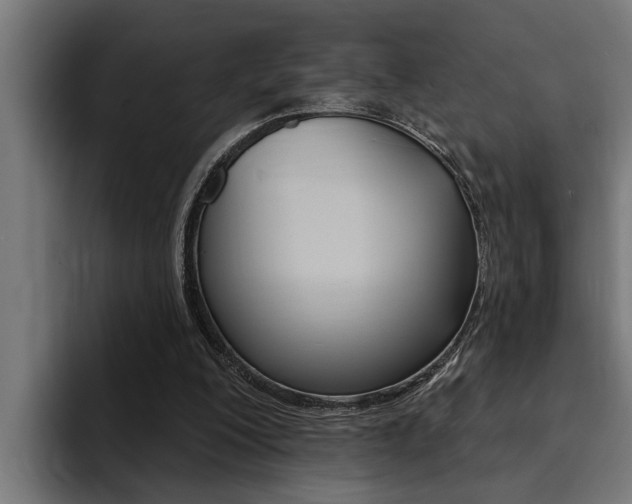X0000094420200200711081005