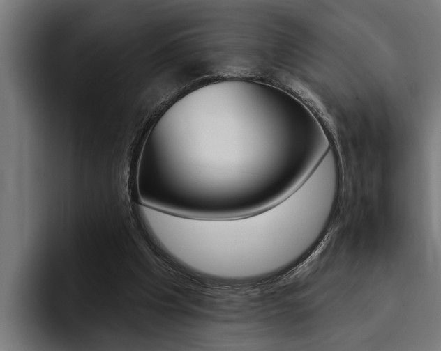 X0000094420201200711081005