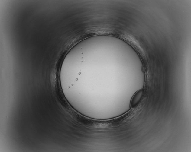 X0000094420202200711081005