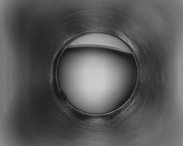 X0000094420203200711081005
