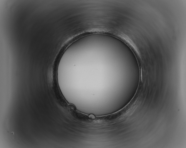 X0000094420204200711081005