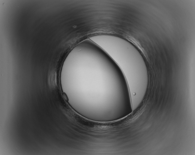 X0000094420205200711081005