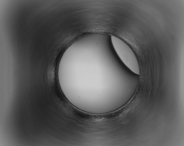 X0000094420206200711081005