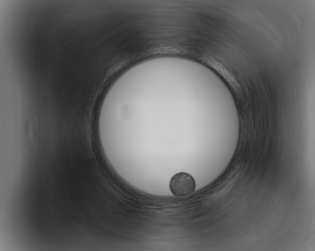 X0000094420207200711081005