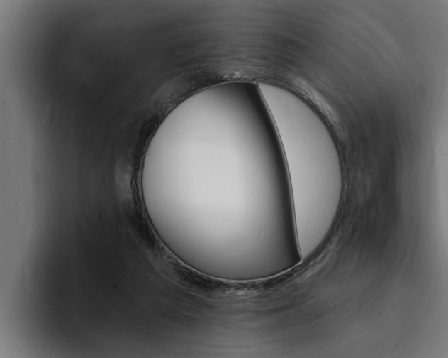 X0000094420209200711081005