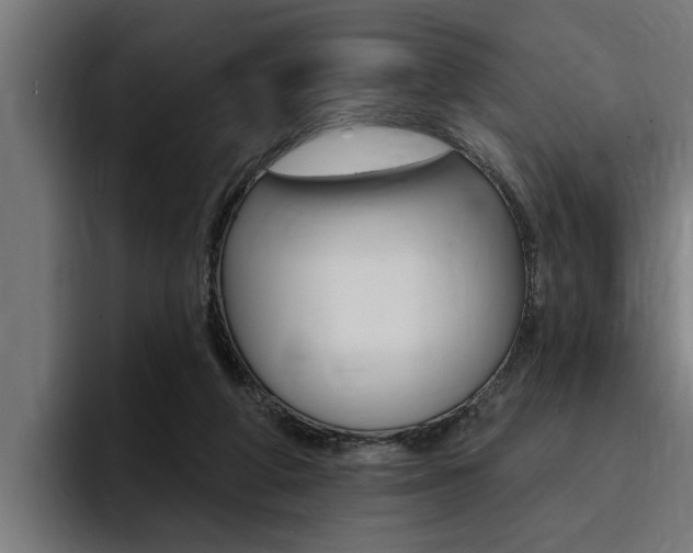 X0000094420210200711081005