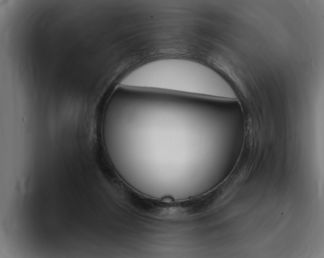 X0000094420212200711081005