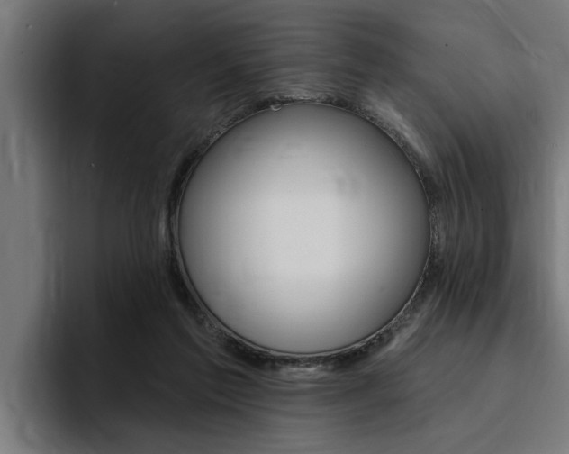X0000094420213200711081005