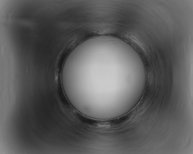 X0000094420214200711081005