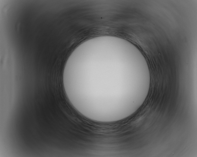 X0000094420215200711081005