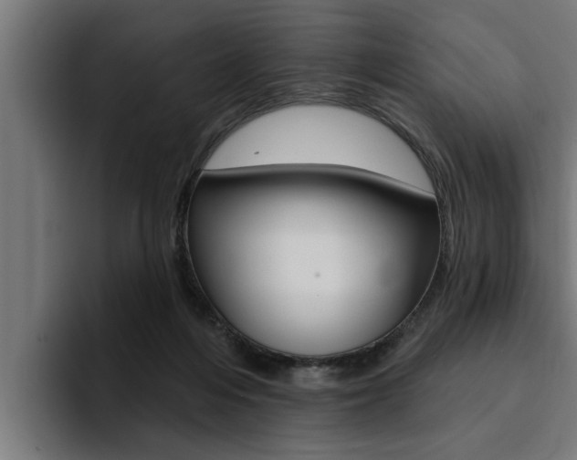 X0000094420216200711081005