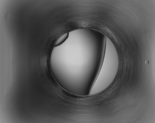 X0000094420217200711081005