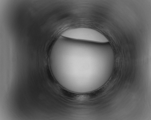 X0000094420218200711081005