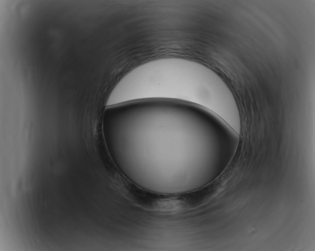 X0000094420219200711081005