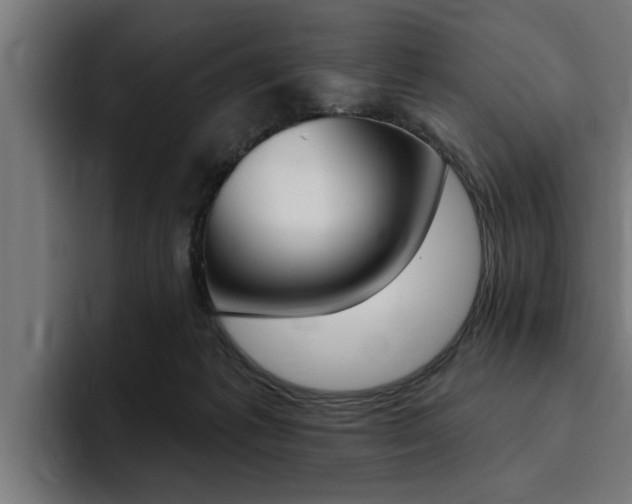 X0000094420221200711081005