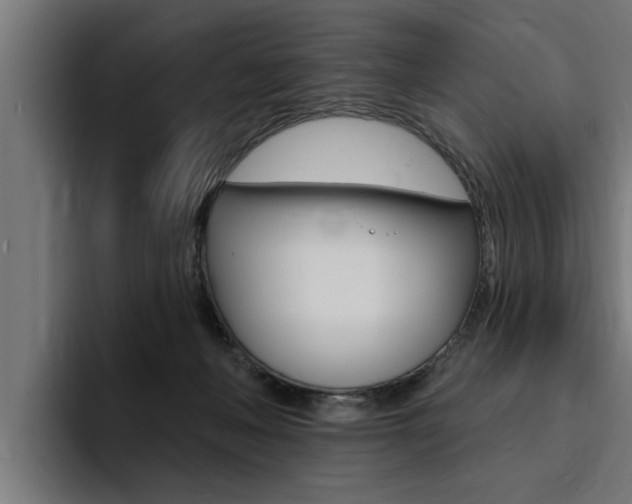 X0000094420222200711081005