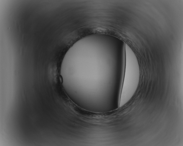 X0000094420223200711081005