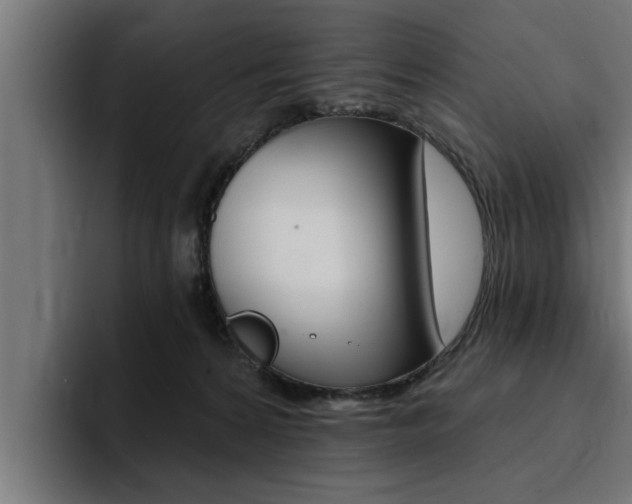 X0000094420224200711081005
