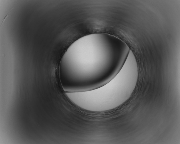 X0000094420225200711081005