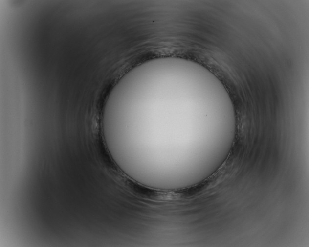 X0000094420226200711081005