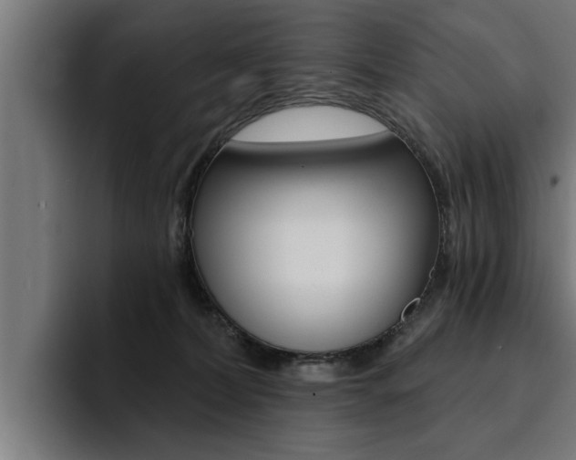 X0000094420228200711081005