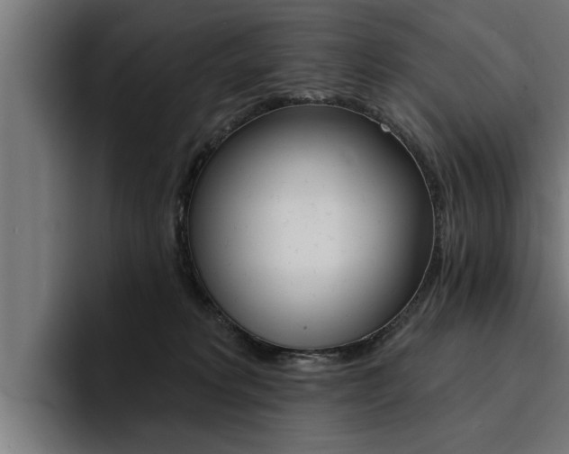 X0000094420229200711081005