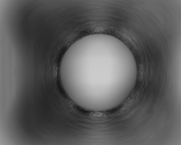 X0000094420230200711081005