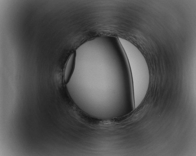 X0000094420231200711081005