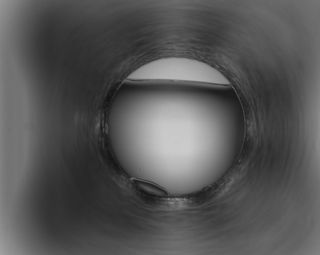 X0000094420233200711081005