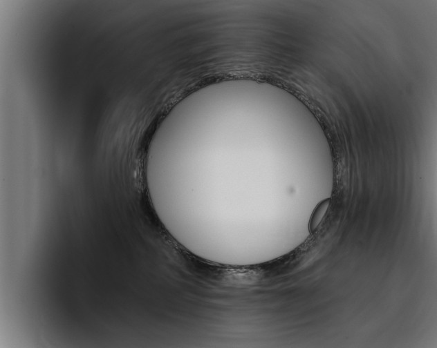 X0000094420234200711081005