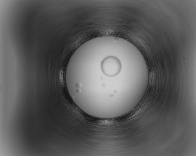 X0000094420238200711081005