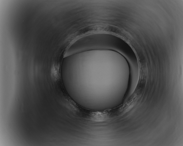 X0000094420239200711081005