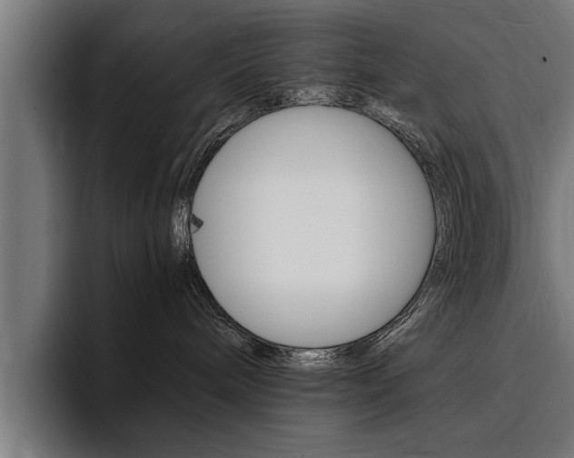 X0000094420240200711081005