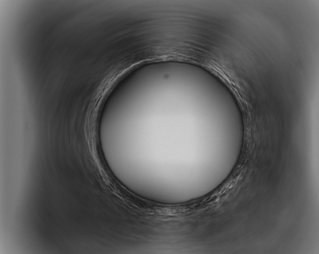 X0000094420241200711081004