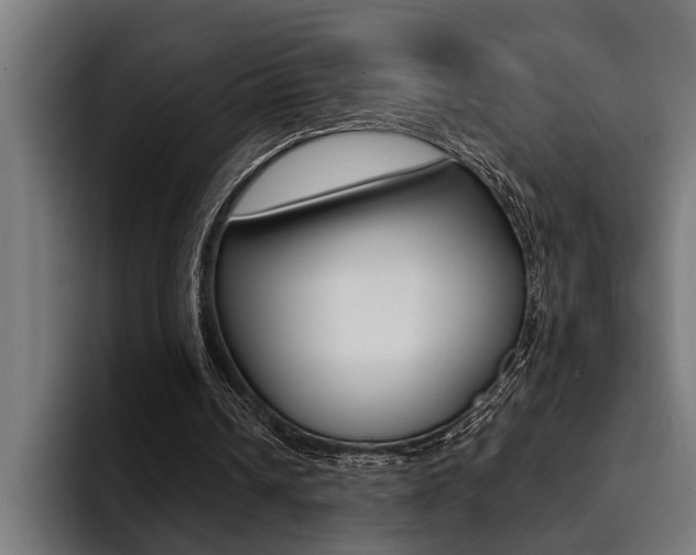 X0000094420242200711081004