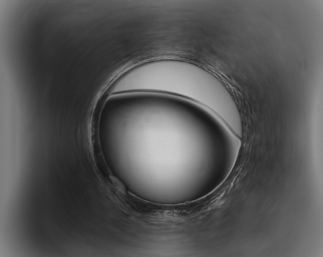 X0000094420244200711081004