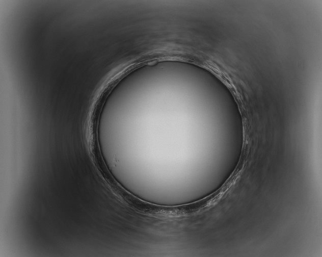 X0000094420245200711081004