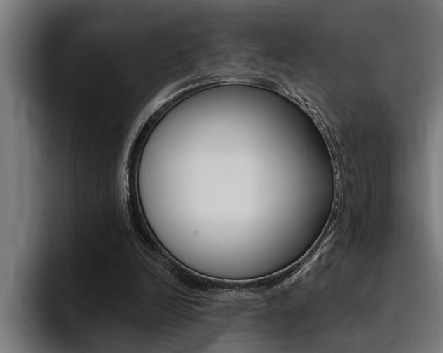 X0000094420246200711081004